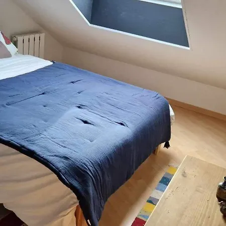 Apartment Santa Foa - Cosy Proche Centre Saint-Avold